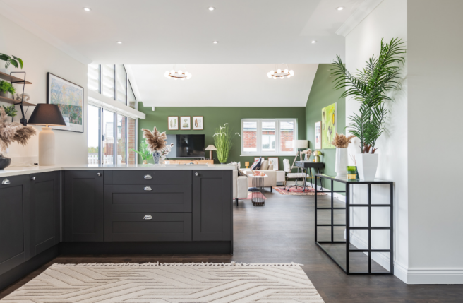 Show Home