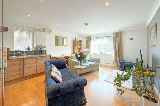 Living Room / Kitchen