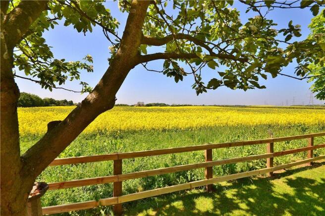Farmland Outlook