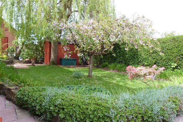 side garden