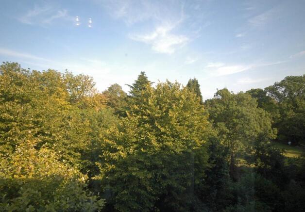 View from living roo