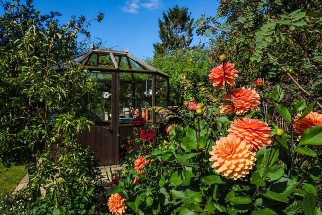 flowers garden