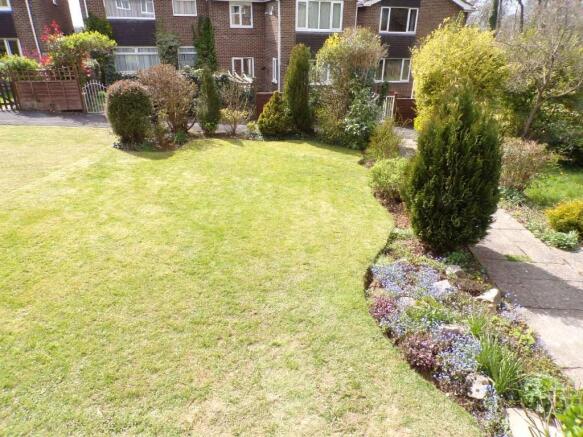 Front Lawn