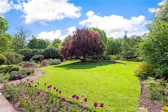 Mature Shrubs, Trees