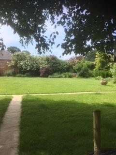 Garden 3.jpg