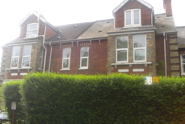 Photo 10