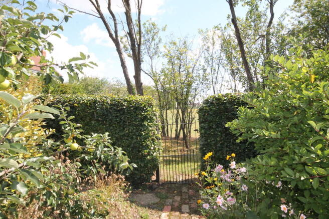 Photo 29