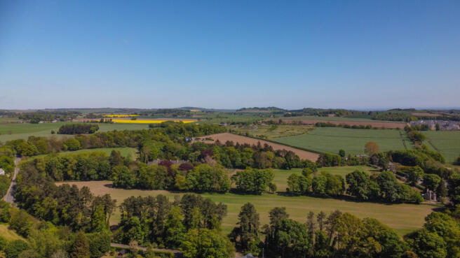 View Of The Surroundings