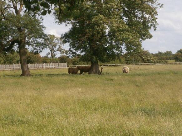 Meet the neighbours