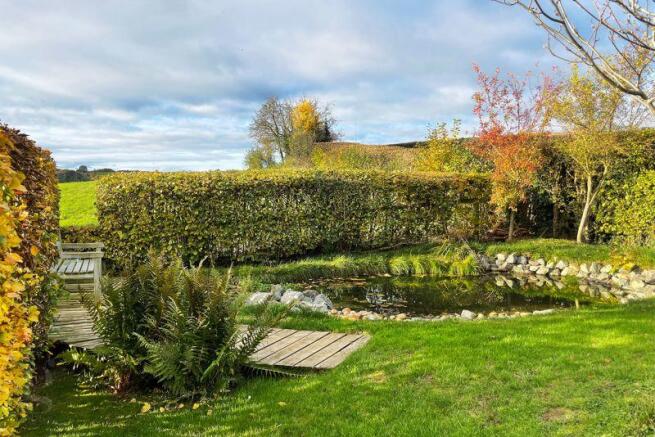 Wildlife Pond