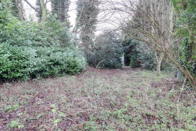 Large Woodland...