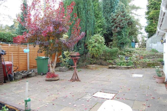 Photo 15
