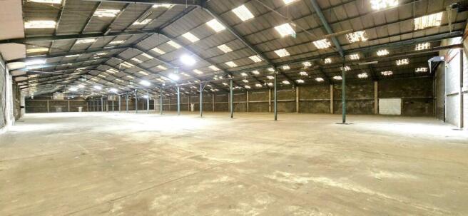 20240624_120022  Edited.jpg