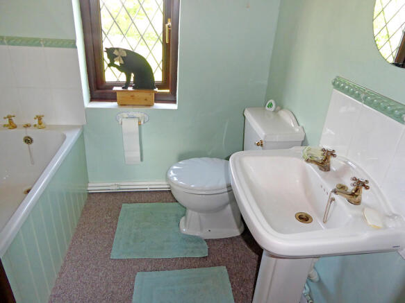 Photo 7