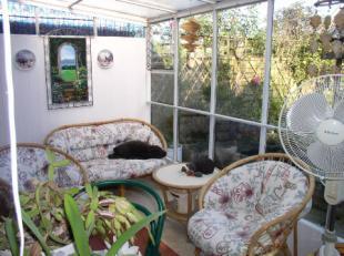 Sun Lounge