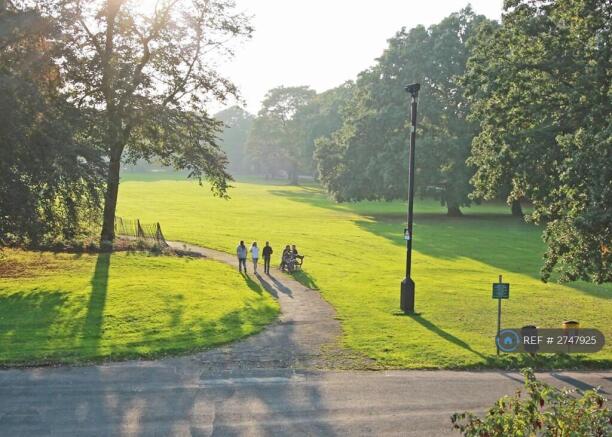 View From Studio 5's Kitchen!