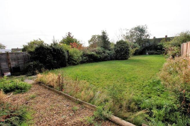 Garden.JPG