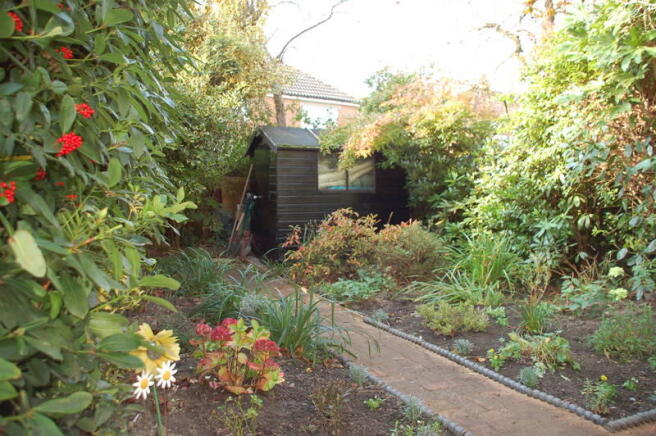 Picture 13