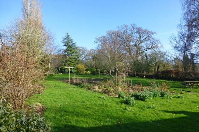 THE GARDEN