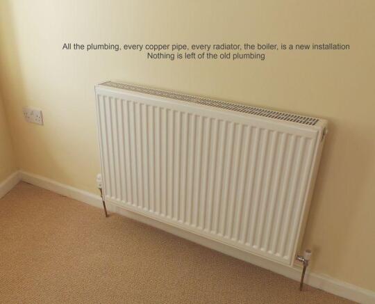 Photo 31