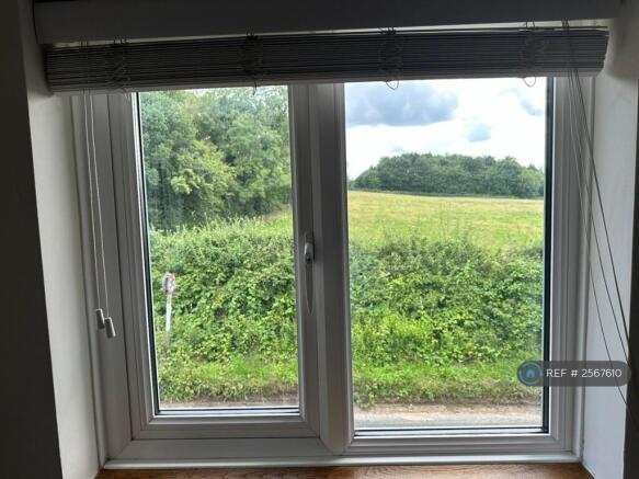 View From Bedroom