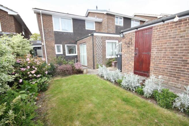 rear garden4.jpg
