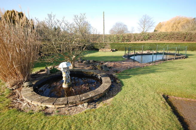 Photo 34