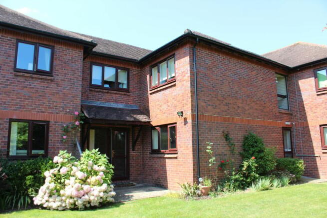 Photo 10