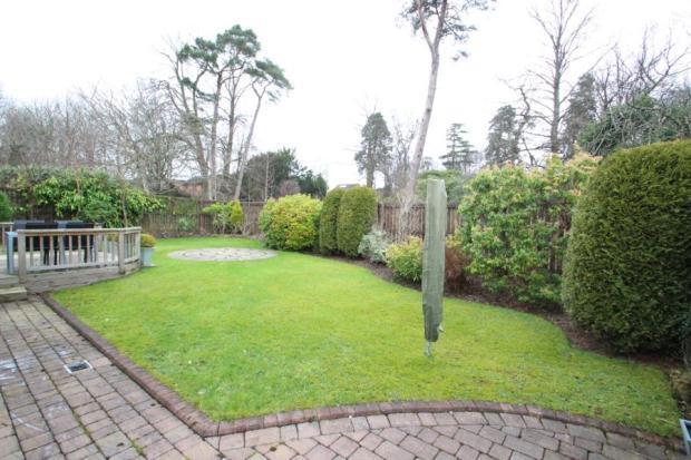 Garden 1