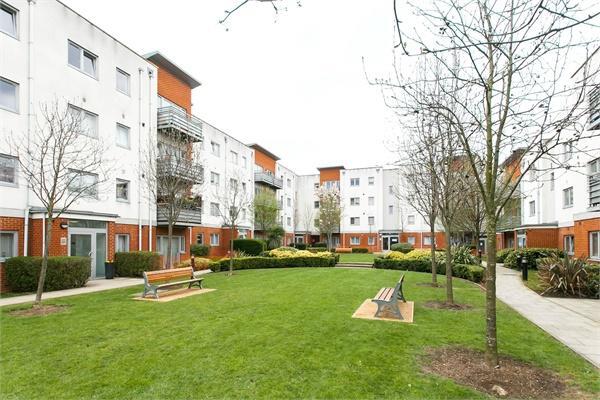 Image_12