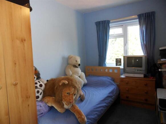 Photo 7