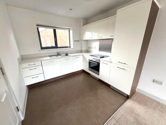 IMG_7388.jpeg