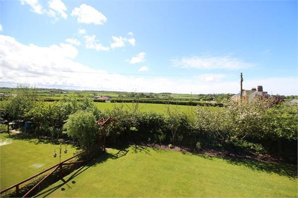 Rear gardens