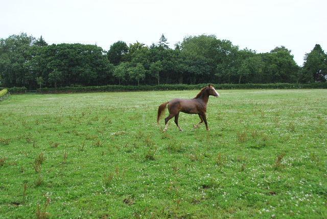 Land