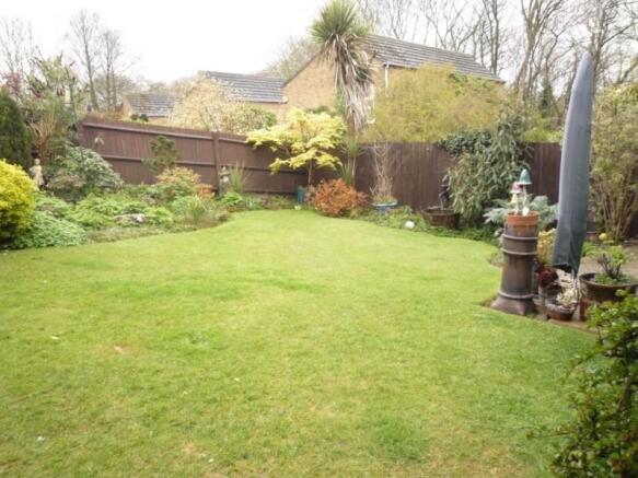 Garden 1