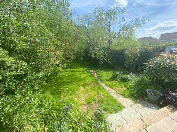 Rear garden.jpg
