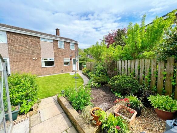 Garden pic 7.jpg