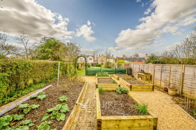 Vegetable Plot