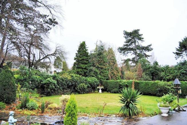 Garden 1