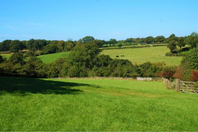 Field