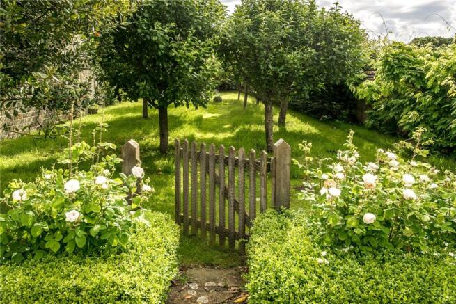 Orchard