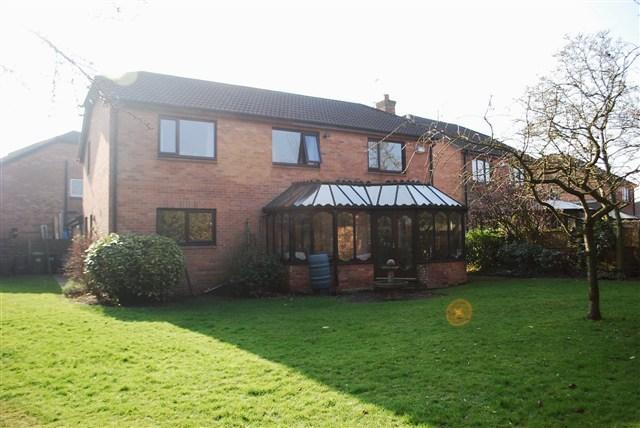 Rear Elevation