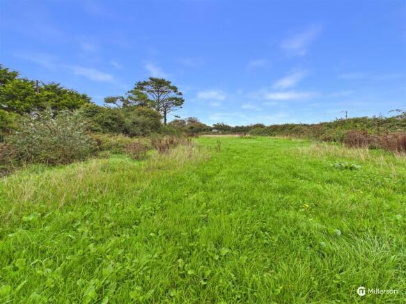 Field