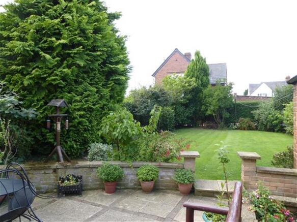 Photo 11