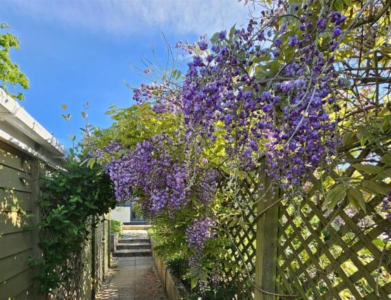 Moorlands32 Wisteria pathway.jpg