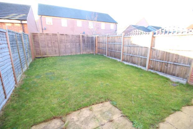 garden 1