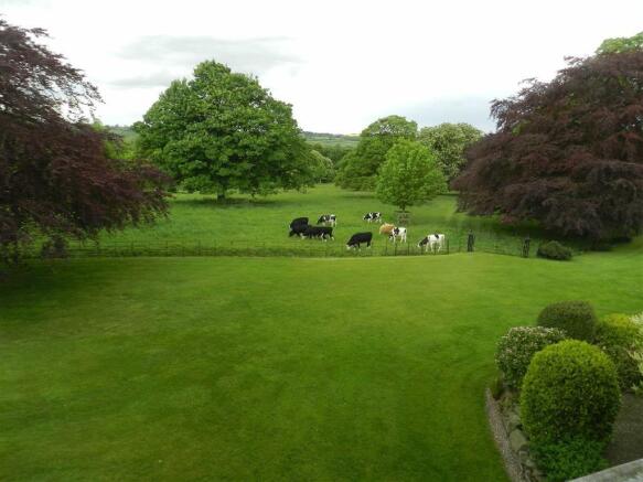 VIEW FROM BEDROOM ON