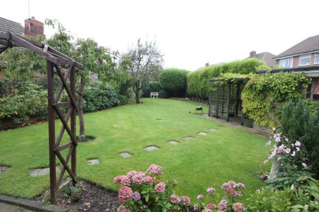 Garden 1