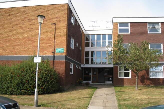 Front Aspect