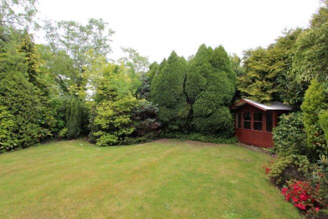 Rear garden alternate